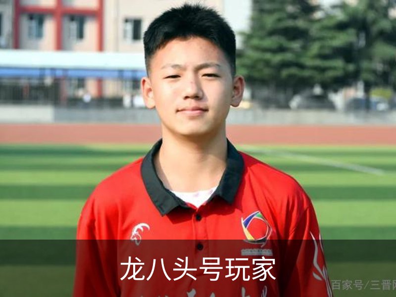 龙八头号玩家概况
